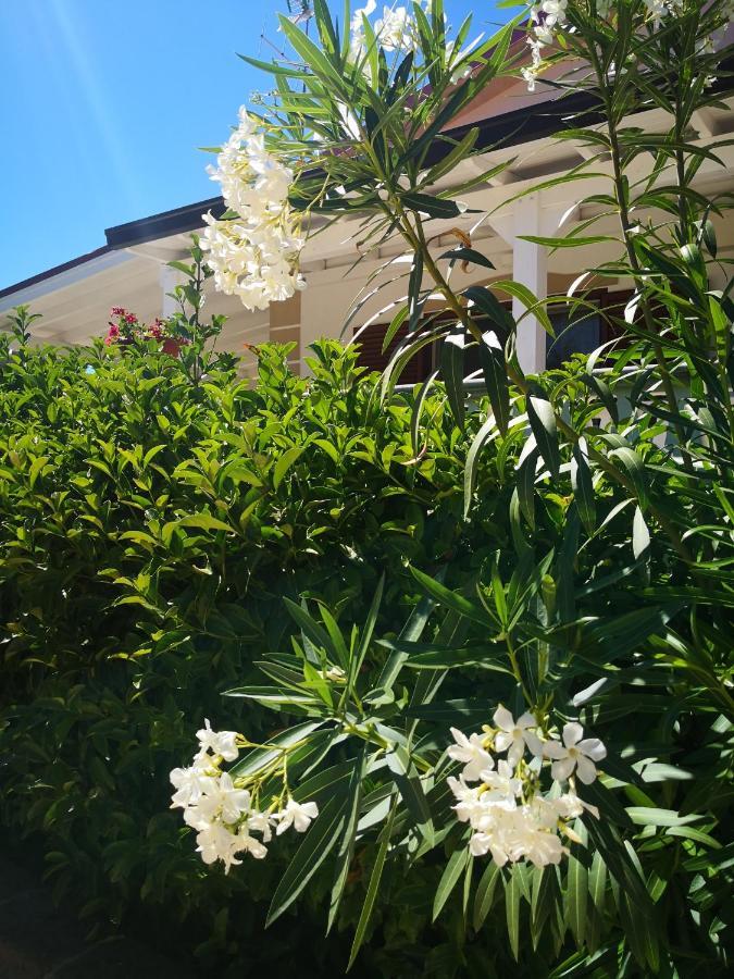 Da Alduccio Bed and Breakfast Vico Del Gargano Εξωτερικό φωτογραφία